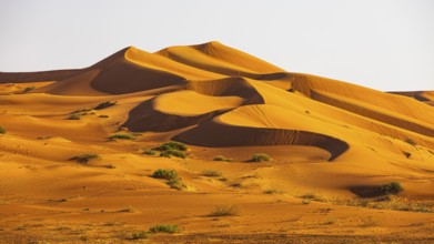 Wind-sculpted curved sand dunes in the Rub al Khali desert, Dhofar province, Arabian Peninsula,