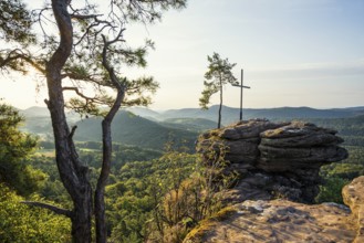 Sandstone rock with pine tree and summit cross, Rötzenfelsen, sunrise, Gossersweiler-Stein,