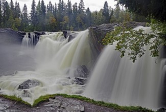 A rushing waterfall in a forest, shrouded in fine mist, autumn, Ristafallet, jämtland, Sweden,