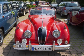 Red convertible from the classic car era, shining in the sun, classic car, convertible, Jaguar XK