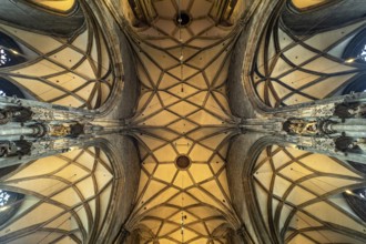 Ceiling of St Stephen's Cathedral in Vienna, Austria, Europe