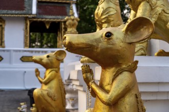 Statues of rats guard the Buddhist temple Wat Phra That Si in Chom Thong, Thailand, Asia