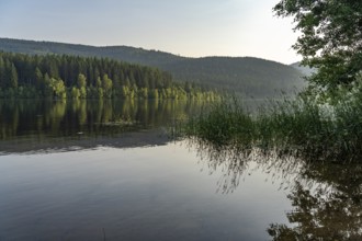 Schluchsee reservoir, Black Forest, Baden-Württemberg, Germany, Europe