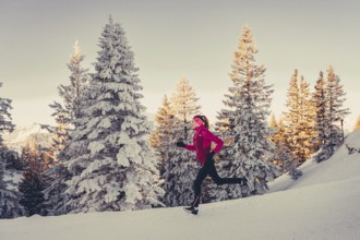 A woman's ski tour at sunrise on the Tegelberg in the Allgäu in the Ammergebirge, Bavaria, Germany,