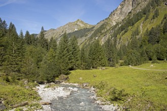 Oybach, Oytal, Allgäu Alps, Allgäu, Bavaria, Germany, Europe