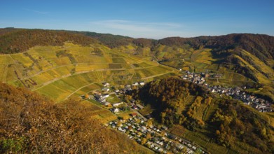 Vineyards in autumn, Mayschoß with parish church, red wine growing region Ahrtal, red wine of the