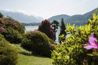 Botanical garden, spring, Villa Carlotta, Tremezzo, Province of Como, Lake Como, Lago di Como,