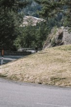 Road bike rider in spring in the Allgäu against the picturesque backdrop of the Alps, Bavaria,