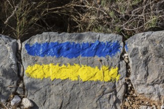 Close-up of Ukraine country flag colors hand painted on grey stone surface, Mount Srd, Dubrovnik,