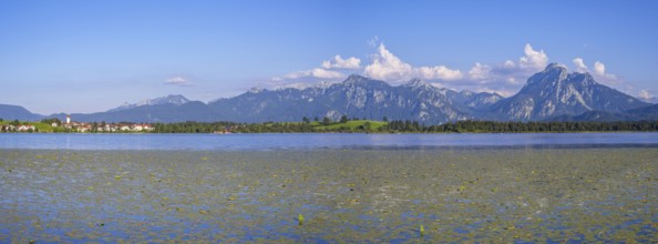 Hopfensee, behind it Hopfen am See, Tegelberg, 1881m, and Saeuling, 2047m, Ostallgaeu, Allgaeu,