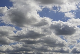 Cloud formation, blue sky with cumulus clouds, North Rhine-Westphalia, Germany, Europe