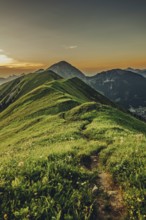 Hiking tour on the Hönig mountain in the Lechtal valley near Berwang in Tyrol, Austria, Europe