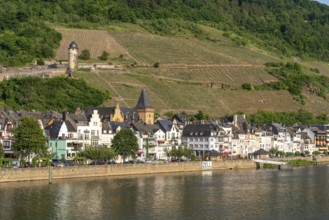 View of the Moselle and the village of Zell, Rhineland-Palatinate, Germany, Europe