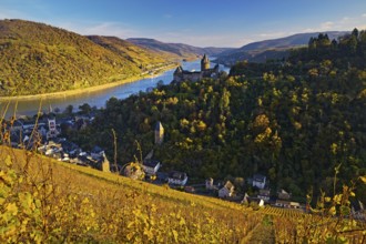 View of Bacharach with Stahleck Castle, hilltop castle above the Rhine, Upper Middle Rhine Valley