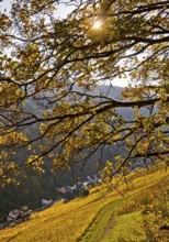 View of Bacharach in autumn, UNESCO World Heritage Upper Middle Rhine Valley, Rhineland-Palatinate,