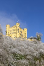 Yellow castle on a snowy hill with blue sky and snow-covered trees in the foreground,