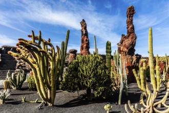 2016, Guatiza, Lanzarote, Jardin de Cactus by Cesar Manrique, ESP, Spain, Canary Islands, Canary