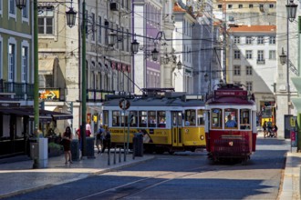 Historic trams navigate a bustling street in sunny Lisbon surrounded by classic architecture,