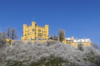 A castle majestically enthroned on a snow-covered hill with a blue sky, Hohenschwangau Castle,