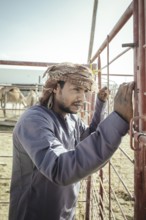 Camel dealer, camel souk Salalah, Dhofar, Oman, Asia