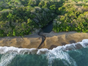 Aerial view, top-down, rainforest, sandy beach and coast with waves, Playa Cocalito, Puntarenas,