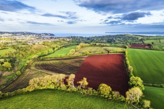 Fields and Farms over Torquay from a drone, Devon, England, United Kingdom, Europe