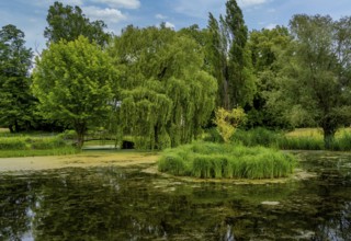 Landscape in the Lower Oder Valley National Park, Criewen, Brandenburg, Germany, Europe