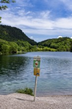 Landscape at Lake Thumsee, Bad Reichenhall, Bavaria, Germany, Europe