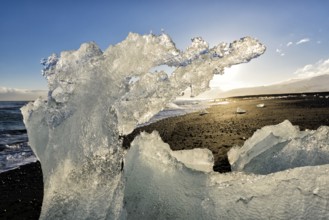 Backlit block of ice, beach at glacier lagoon Jökulsarlon, Breiðamerkursandur, south coast,