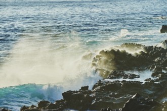 Landscape of rocks in the sea at Ka?ena Point State Park, Hawaiian Island Oahu, O?ahu, Hawaii,