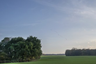 Flying cranes (Grus grus) fly over the landscape of Mecklenburg-Vorpommern, Germany, Europe