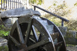 Upper water wheel of the Zschonermühle, Dresden, Saxony, Germany, Europe