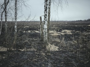 Landscape near the front, near Velykyi Burluk, Ukraine, Europe