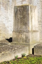 Snowdrops (galanthus) blooming on a historic gravestone in Gröba, Riesa, Saxony, Germany, Europe