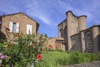 Hibiscus bush and old brick houses at the Palais de la Berbie, Albi, Département Tarn, France,