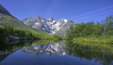 Pointe Piaget and La Meije reflected in the pond of the botanical garden Jardin du Lautaret,