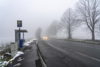 Dense fog, with visibility partly below 100 metres, country road, bus stop Am Treppchen,