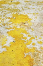 Splashes of sulphur colouring Stefanos crater ground, Nisyros Island, Dodecanese Islands, Greece,