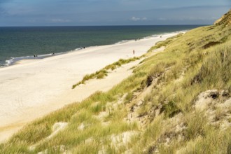 The west beach near Kampen, island of Sylt, district of North Friesland, Schleswig-Holstein,