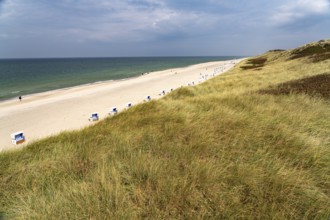 The Weststrand beach near Westerland, Sylt island, North Frisia district, Schleswig-Holstein,