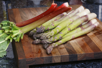 South German cuisine, vegetables, vegetarian, preparation of green asparagus with rhubarb