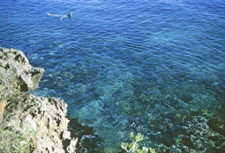 Snorkelling in the sea above a coral reef in Ocho Rios, Jamaica, 1970, Central America