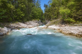 Rissbach stream in spring, Rissbach gorge near Hinterriss, Hinterriss, Bavaria, Germany, Europe