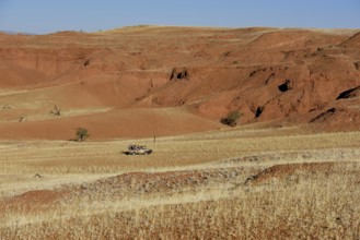 Off-road vehicle with tourists in the grassy landscape of Gondwana Namib Park, near Sesriem, Hardap