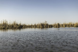 Weltkulturerbe Marschland, in Basra, 10.03.2023