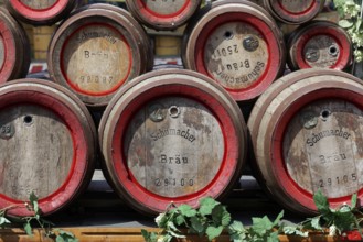 Stacked beer barrels from the Düsseldorf Altbierbrauerei Schumacher, Düsseldorf, North