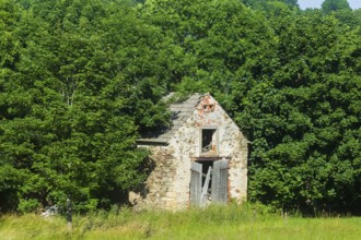 Dilapidated agricultural buildings