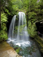 Blackbird Falls in the Amselgrund in Saxon Switzerland