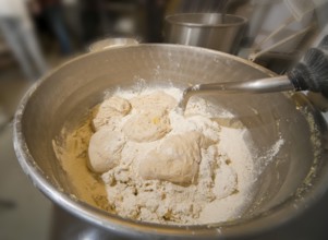 Kneading the dough for the Dresden Christmas Stollen