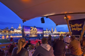 Film Nights on the banks of the Elbe